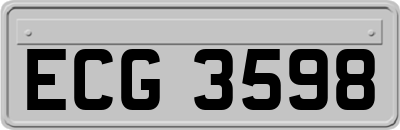 ECG3598