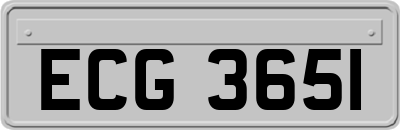 ECG3651