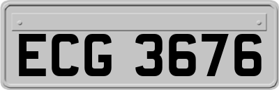 ECG3676