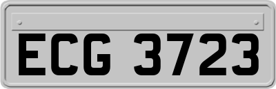 ECG3723