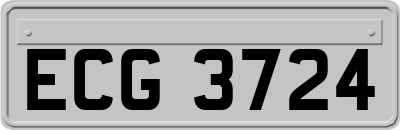 ECG3724