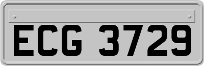 ECG3729