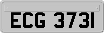 ECG3731