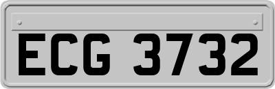 ECG3732