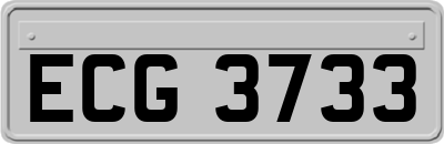 ECG3733