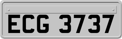 ECG3737