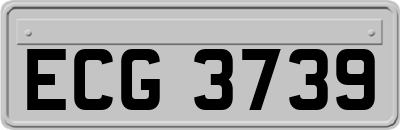 ECG3739