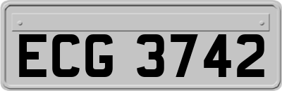 ECG3742