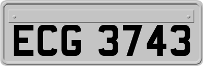 ECG3743