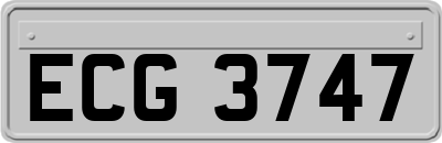ECG3747