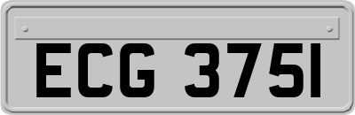 ECG3751