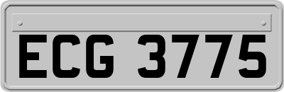 ECG3775