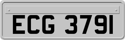 ECG3791