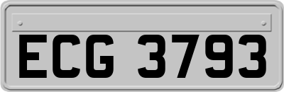 ECG3793