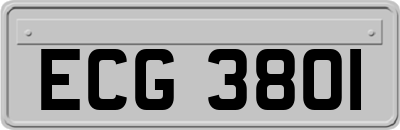 ECG3801