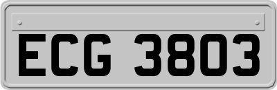 ECG3803