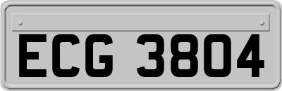 ECG3804