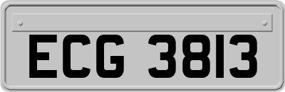 ECG3813