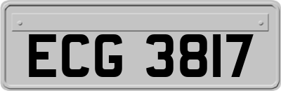 ECG3817