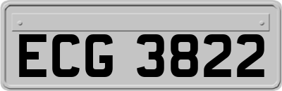 ECG3822