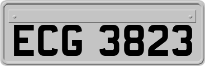 ECG3823