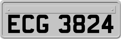 ECG3824