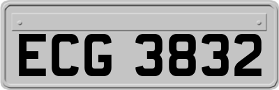 ECG3832