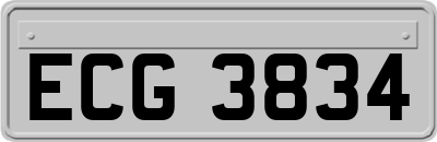 ECG3834