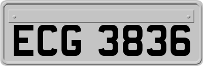 ECG3836