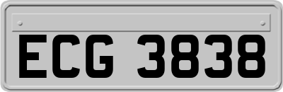 ECG3838