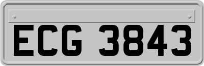 ECG3843