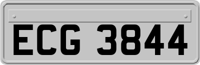 ECG3844