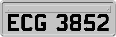 ECG3852