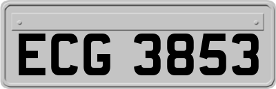 ECG3853
