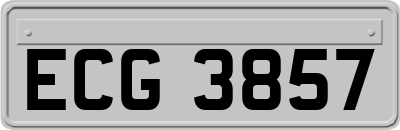 ECG3857
