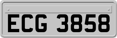 ECG3858