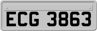 ECG3863