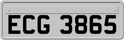 ECG3865
