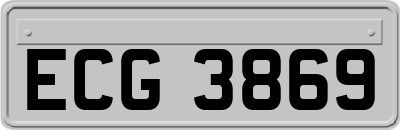 ECG3869
