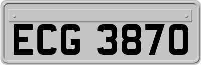 ECG3870