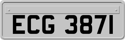 ECG3871