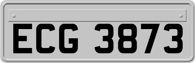 ECG3873