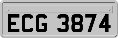 ECG3874