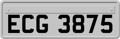 ECG3875