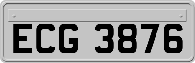 ECG3876