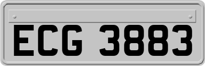 ECG3883