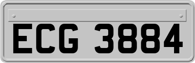 ECG3884