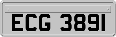 ECG3891