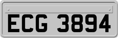 ECG3894
