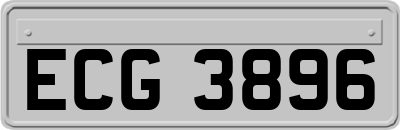 ECG3896